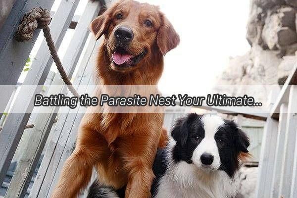 Battling the Parasite Nest Your Ultimate Guide to Dog Flea and Worm Removal